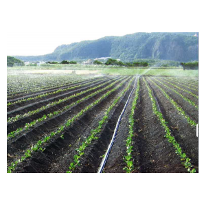 日本住友微喷带11 Sumitomo Micro-Sprinkler Tape (Japan)