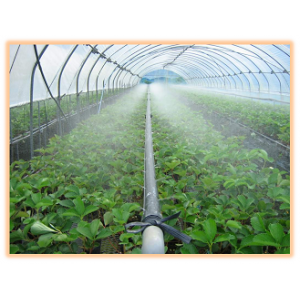 日本住友微喷带7Sumitomo Micro-Sprinkler Tape (Japan)