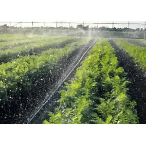 日本住友微喷带9Sumitomo Micro-Sprinkler Tape (Japan)