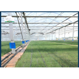 日本住友微喷带3Sumitomo Micro-Sprinkler Tape (Japan)